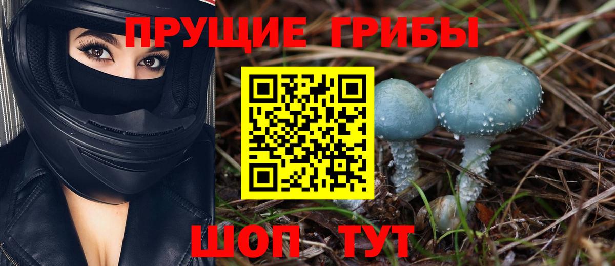 Зерноград  Псилоцибиновые грибы Magic Shrooms  Вход с VPN 